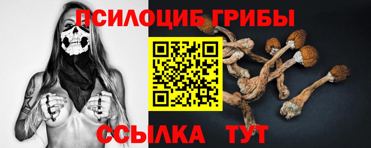 Псилоцибиновые грибы мухоморы  Вход с VPN  наркота  Галлюциногенные грибы Psilocybe  Благодарный 